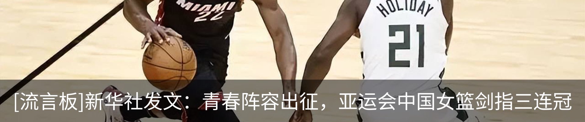 新闻动态